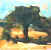 Campo di grano olio su tavola 24x25 anno 2001.jpg (211292 byte)